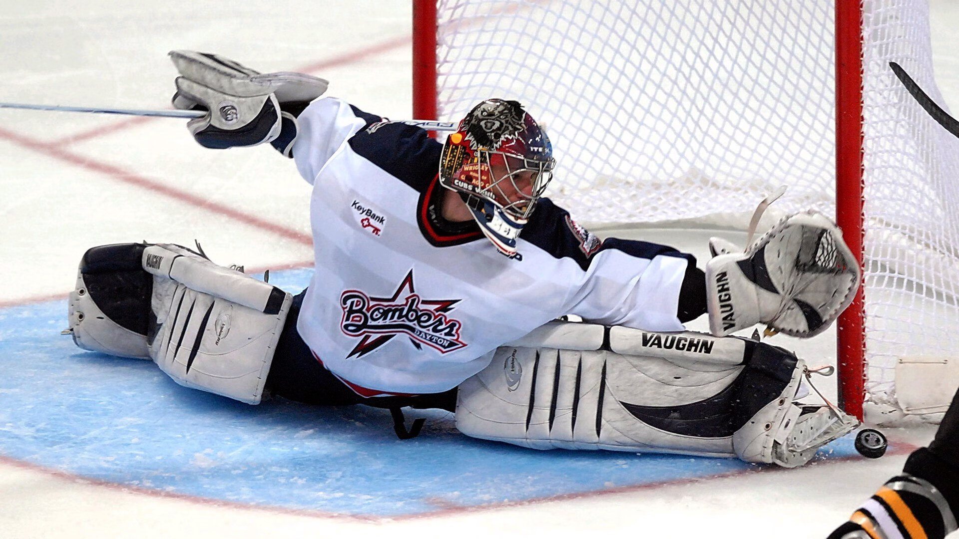 尼克斯球迷为球队连胜狂欢,主场气氛爆棚,尼克斯队的比赛